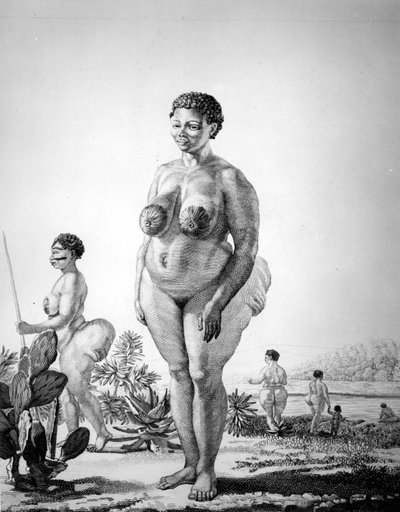 Venus Hottentote aus Südafrika von Unknown artist