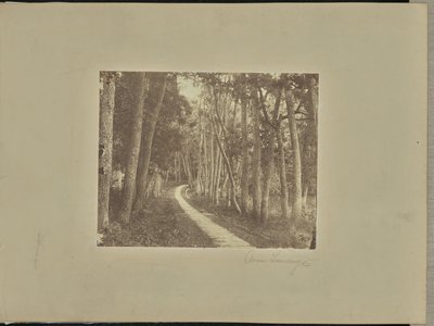 Avenue Tiendong von Unknown artist/maker