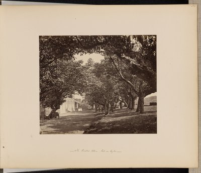 Das Oriental Hotel, Galle, Ceylon von Unknown artist/maker