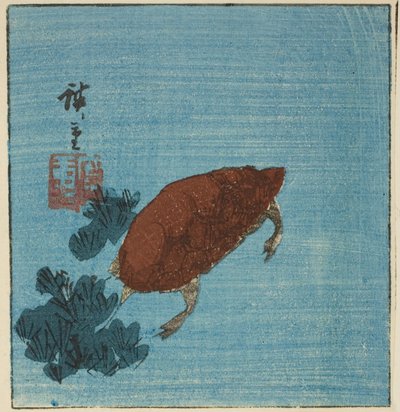 Schildkröte von Utagawa Hiroshige