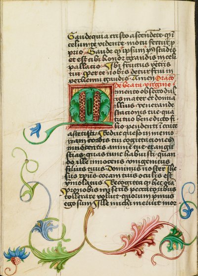 Dekorierte Initiale M von Valentine Noh