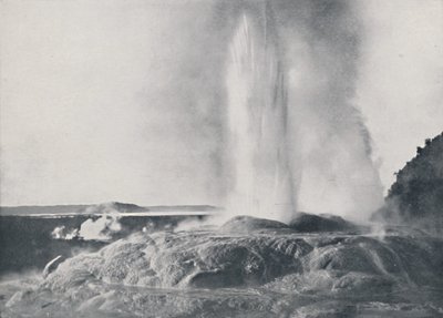 Geysir, Neuseeland, 1924 von Valentine and Sons Ltd