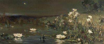 Stern in der Nacht von Vasilii Kotarbinsky
