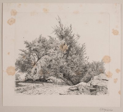 Ein großer Findling von Vilhelm Kyhn