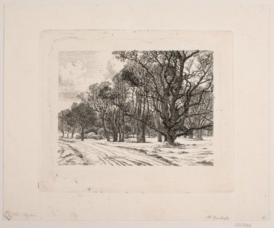 Winter im Wald von Vilhelm Kyhn