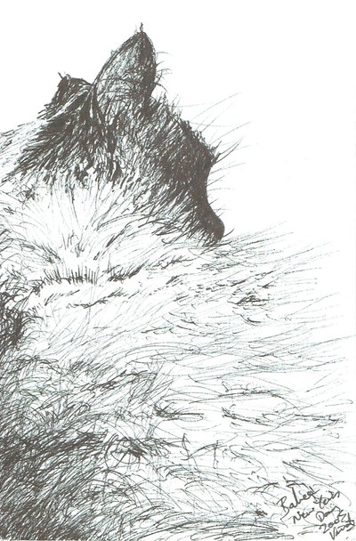 Baby hält sich warm Neujahr, 2005 von Vincent Alexander Booth