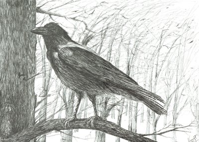 Vogel, 2011 von Vincent Alexander Booth