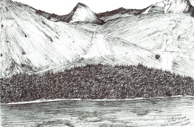 Causey Pike von Vincent Alexander Booth