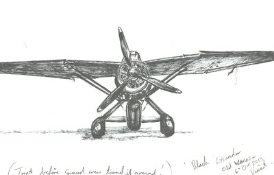 Lysander in Old Warden, 2012 von Vincent Alexander Booth