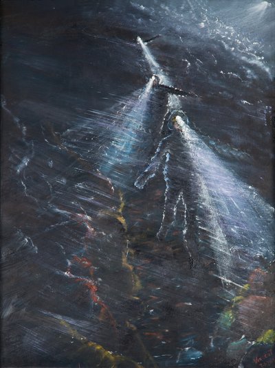 Nachtrennen von Blencathera, 2016 von Vincent Alexander Booth