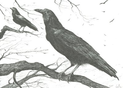 Beobachter, 2011 von Vincent Alexander Booth