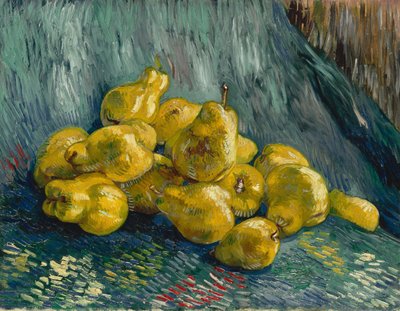 Stillleben mit Quitten, 1887-1888 von Vincent van Gogh