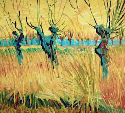 Weiden im Sonnenuntergang, 1888 von Vincent van Gogh