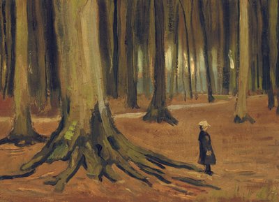 Ein Mädchen im Wald von Vincent van Gogh