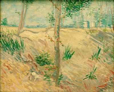 Baumstämme im Sonnenlicht von Vincent van Gogh