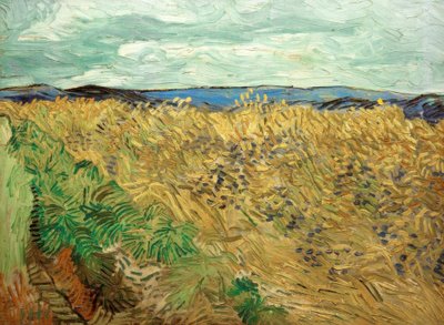 Feld mit Kornblumen von Vincent van Gogh