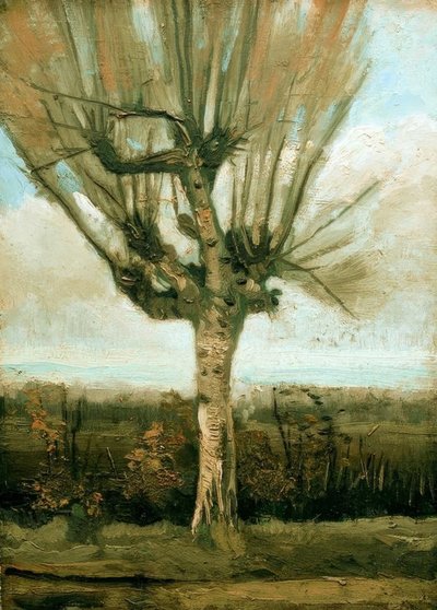 Kopfweide von Vincent van Gogh