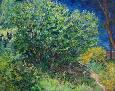 Flieder von Vincent van Gogh