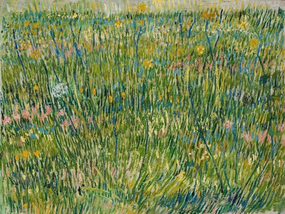 Grasfleck von Vincent van Gogh