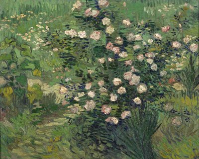 Rosen, 1889 von Vincent van Gogh