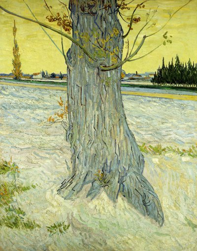 Der alte Baum von Vincent van Gogh