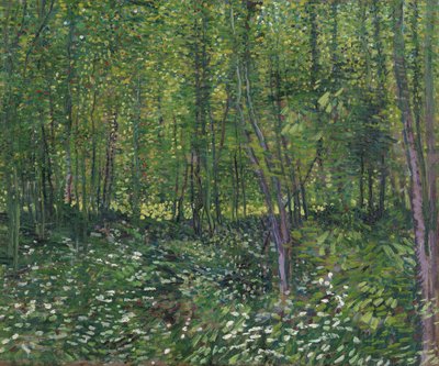 Bäume und Unterholz, 1887 von Vincent van Gogh