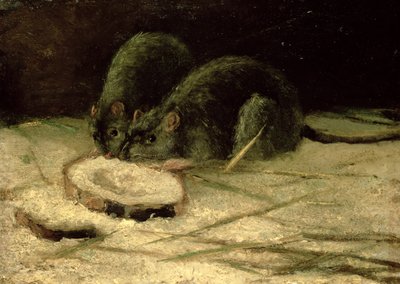 Zwei Ratten, ca. 1884 von Vincent van Gogh