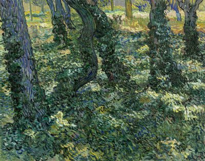 Unterholz, 1889 von Vincent van Gogh