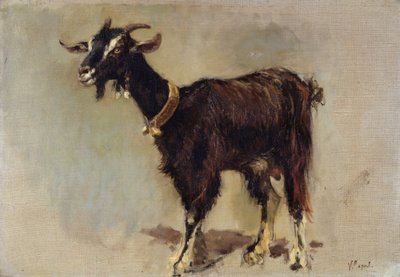 Ziege von Vincenzo Caprile