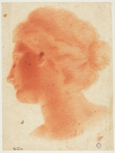 Kopf der Venus von Medici von Vincenzo Dandini