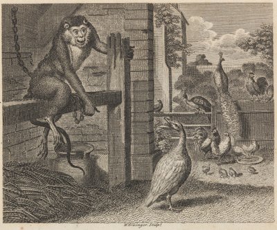 Der Pavian und das Geflügel von W. Grainger