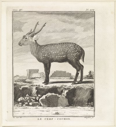Hirsch von W. Tringham