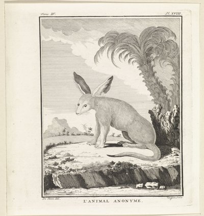Unbekanntes Tier von W. Tringham