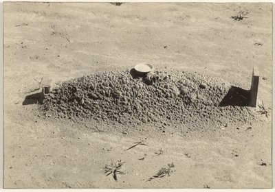 Ein baptistisches Grab, Hale County, Alabama von Walker Evans