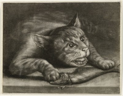 Katze mit einem Fisch von Wallerant Vaillant