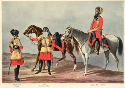 Die Zweite Punjab-Kavallerie, 1901 von Walter Fane