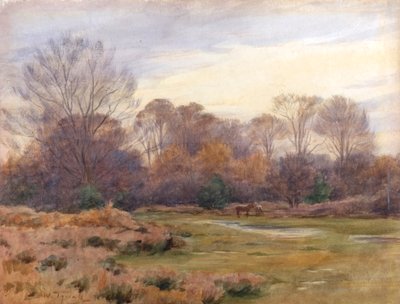 Auf der Christchurch Road von Walter Frederick Roofe Tyndale
