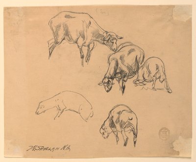 Studien von Schafen von Walter Shirlaw