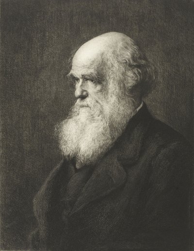 Charles Robert Darwin von Walter William (after) Ouless