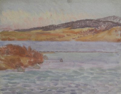 Seeufer von Walther Gamerith