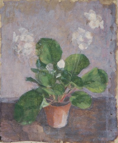 Stillleben mit Blumentopf von Walther Gamerith