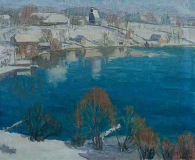 Unterbuchberg im Winter I von Walther Gamerith