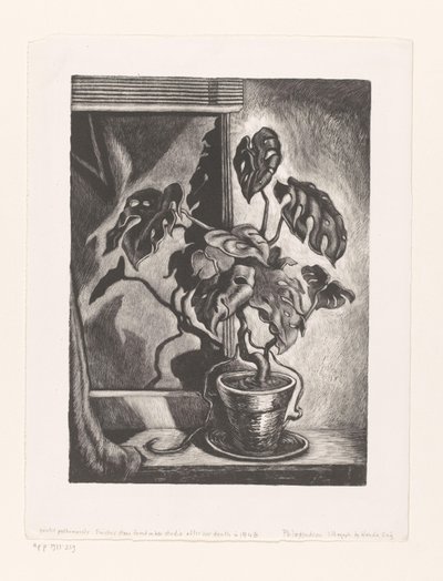 Philodendron im Fensterrahmen von Wanda Gág