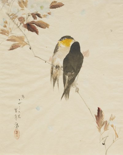 Vögel auf einem Ast von Watanabe Seitei