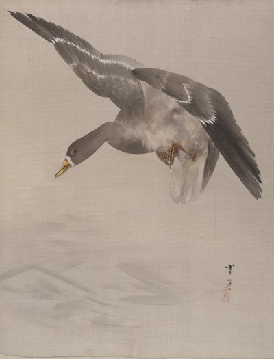 Ente, ca. 1887 von Watanabe Seitei