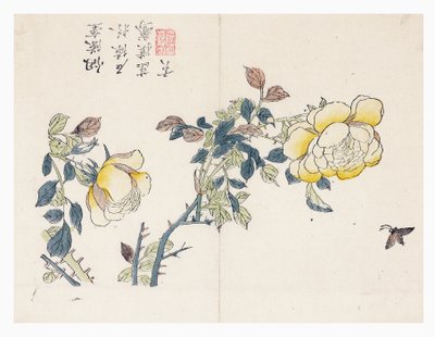 Senfkorngarten von Wen shu Chao