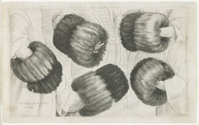 Ein Muff in fünf Ansichten, 1645-1646 von Wenceslaus Hollar