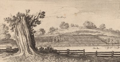 Albury, 1645 von Wenceslaus Hollar