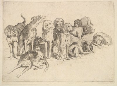 Elf Hunde von Wenceslaus Hollar