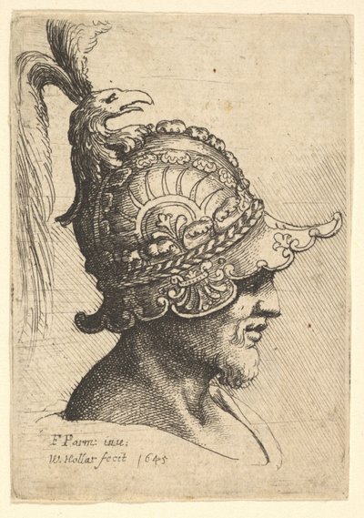 Helm mit Vogelkopfkamm von Wenceslaus Hollar